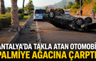 Antalya'da takla atan otomobil palmiye ağacına çarptı!