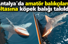 Antalya'da amatör balıkçıların oltasına köpek balığı takıldı! İşte o anlar