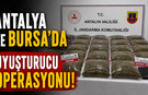 Antalya ve Bursa’da uyuşturucu operasyonu!