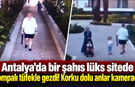 Antalya'da bir şahıs lüks sitede pompalı tüfekle gezdi! Korku dolu anlar kamerada