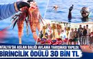 Antalya'da aslan balığı avlama yarışması yapıldı: Birincilik ödülü 30 bin TL