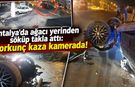 Antalya'da ağacı yerinden söküp takla attı: Korkunç kaza kamerada!