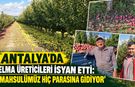 Antalya’da elma üreticileri isyan etti: "Mahsulümüz hiç parasına gidiyor”