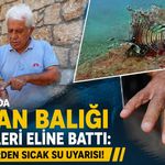 Antalya'da aslan balığı dikenleri eline battı: Profesörden sıcak su uyarısı!