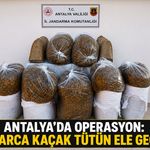 Antalya’da operasyon: Kilolarca kaçak tütün ele geçirildi