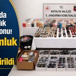 Antalya’da kaçakçılık operasyonu: Milyonluk ürün ele geçirildi