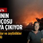 Kaş orman yangınında, evler, seralar ve zeytinlikler zarar gördü