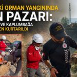 Kaş’taki orman yangınında alevlerin arasında kalan koyunlar ve kaplumbağa böyle kurtarıldı