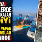 Antalya falezlerde mahsur kalan kediyi SUP yapan vatandaşlar kurtardı! İşte o görüntüler