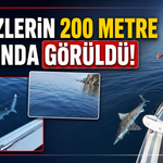 Falezlerin 200 metre açığında görüldü!