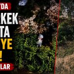 Antalya'da iki erkek parkta ilişkiye girdi! İşte o anlar