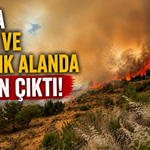 Kaş’ta otluk ve ağaçlık alanda çıkan yangın ormana sıçradı!
