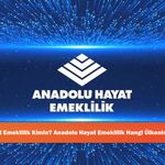 Anadolu Hayat Emeklilik Kimin? Anadolu Hayat Emeklilik Hangi Ülkenin? Boykot mu?