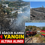 Alanya'daki ağaçlık alanda çıkan yangın kontrol altına alındı