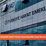 Türkiye Hayat Emeklilik Kimin? Türkiye Hayat Emeklilik Hangi Ülkenin? Boykot mu?