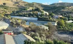 Alanya'da üretiliyor! Tanesi 55 TL