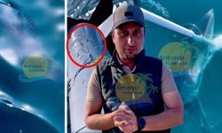 Antalya'da köpek balığı balıkçı teknesine saldırdı