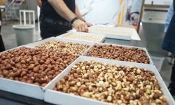 Kuruyemiş devi için açıkladılar! İflas açıklayacak