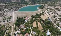 Antalya Korkuteli’nde Mahkemeden Satılık Geniş Araziler! Tarla Yatırımı İçin Fırsat Zamanı