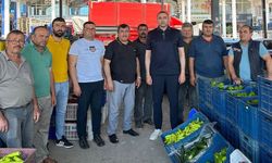 CHP’li Kaya: “Tarım kumara döndü, üretici ayakta kalamıyor”