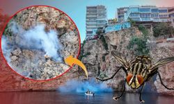 Antalya’da haşerelere karadan ve denizden sıkı önlem