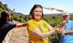 Antalya'da kerkenez yavruları doğal ortamlarına bırakıldı