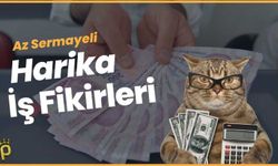 Cebinizde Büyük Fırsatlar Var! Küçük Sermayeyle Kurulabilecek 10 Karlı İş Fikri