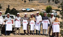 Antalya'da Konyaaltı’nın “Çoban Haritası” çıkarılıyor
