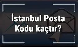 İstanbul Posta Kodu Sorgulama ve Öğrenme: 39 İlçenin Kodları Burada