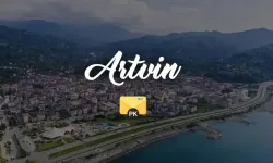 Artvin Posta Kodları: Merkez ve İlçelere Göre Güncel Liste