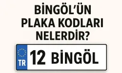 Bingöl Plaka Kodu Kaçtır? Bingöl Plakası Değişti mi, Kaçıncı Şehir ve Hangi Bölgede?