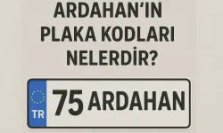 Ardahan Plaka Kodu Kaçtır? 75 Numaralı Plakanın Detayları