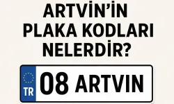 Artvin Plaka Kodu Kaç? Değişti mi, Kaçıncı Sırada ve Hangi Bölgede?