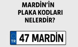 Mardin Plaka Kodu Hakkında Detaylı Bilgi