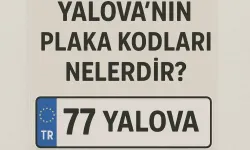 Yalova Plaka Kodu ve Şehrin Konumu Hakkında Merak Edilenler