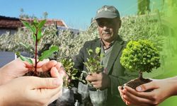 Antalya Büyükşehir Belediyesi yangınzedelere fidan desteği sağladı!