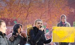 Alara Vadisi'nde HES’e karşı halk yeniden direnişte 