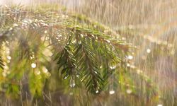 Antalya günlük hava durumu - 23.02.2026