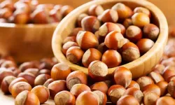 24 Şubat 2026 Salı fındık fiyatları ne kadar? İl il fındık fiyatları