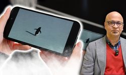 Viral görüntüye yorum Antalya'dan: Dr. Evecen "O penguen değil, biziz"