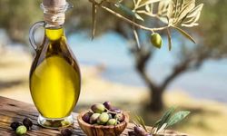 Antalya zeytinyağında yeni dönem: 2026-2035 yol haritası açıklandı