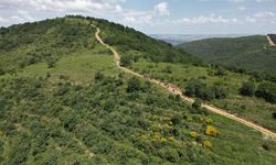 Afyonkarahisar'ın İlk Kim Fethetmiştir?