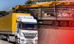 Antalya’da kaçakçılığa darbe: Milyonluk ürün ele geçirildi