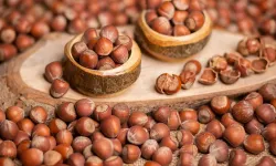 27 Şubat 2026 Cuma fındık fiyatları ne kadar?