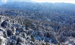 Antalya'nın gizli yüzü belli oldu