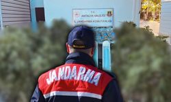 Antalya'da Jandarmadan baskın! Kilolarca ele geçirildi