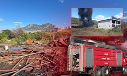 Antalya Alanya'da yangın korkuttu!