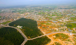 Antalya Aksu’da 31.610 m² Mutlak Tarım Arazisi Mahkeme Satışıyla Yatırımcıları Bekliyor