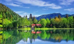 Artvin'i İlk Kim Fethetmiştir?