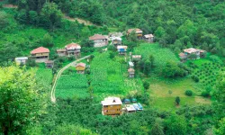 Artvin'in En İyi İlçesi Hangisi?